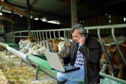 Les agriculteurs désormais indemnisés en cas de maladie